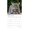 Plato; I Love Cats | 2027 12 x 24 Inch (Hanging) Monthly Square Wall Calendar | Foil Stamped Cover; Category:Wall Calendars; Image:4